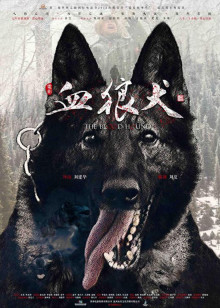 异世浮生2019